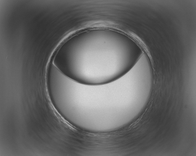 X0000084601384200702231024