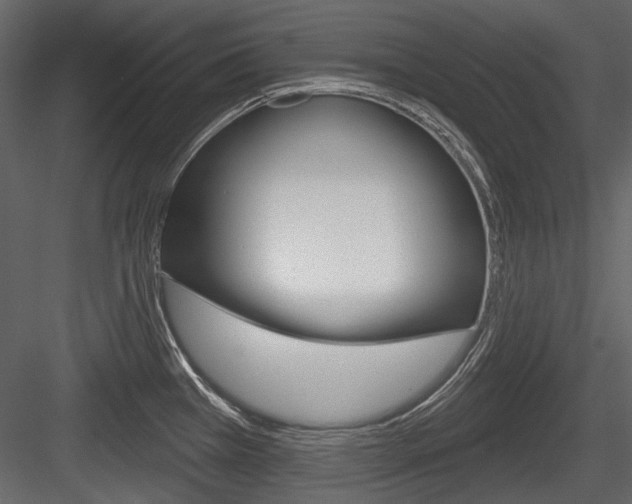 X0000084601385200702231024
