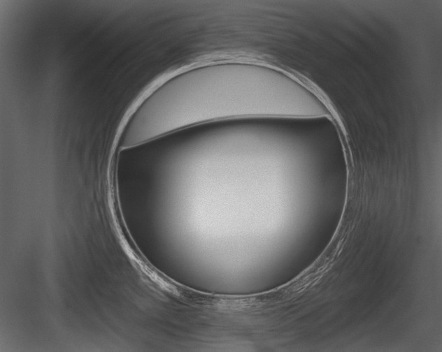 X0000084601389200702231024
