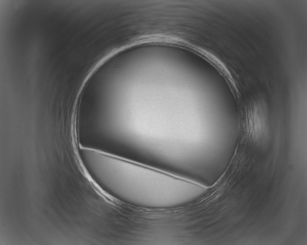 X0000084601391200702231024