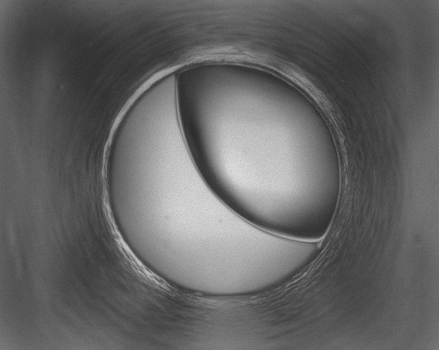 X0000084601392200702231024