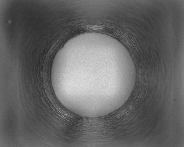 X0000084601393200702231023