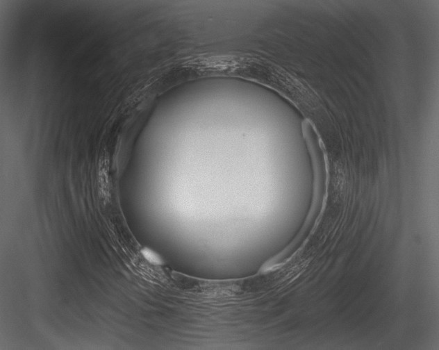 X0000084601394200702231024