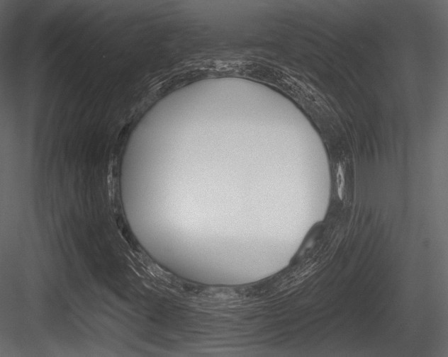 X0000084601395200702231024