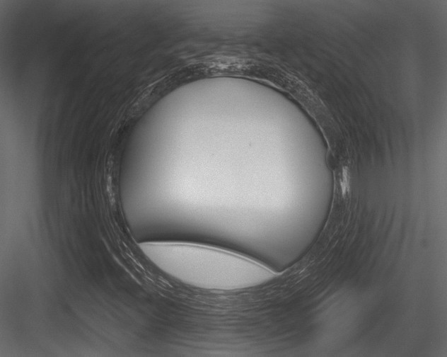 X0000084601396200702231024