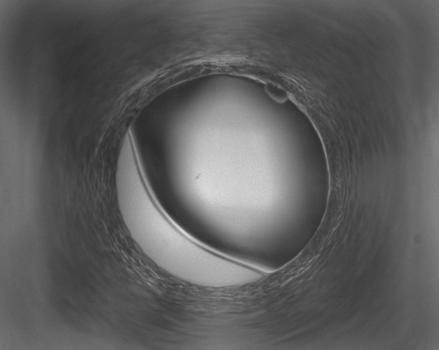 X0000084601398200702231024