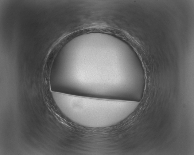 X0000084601400200702231024