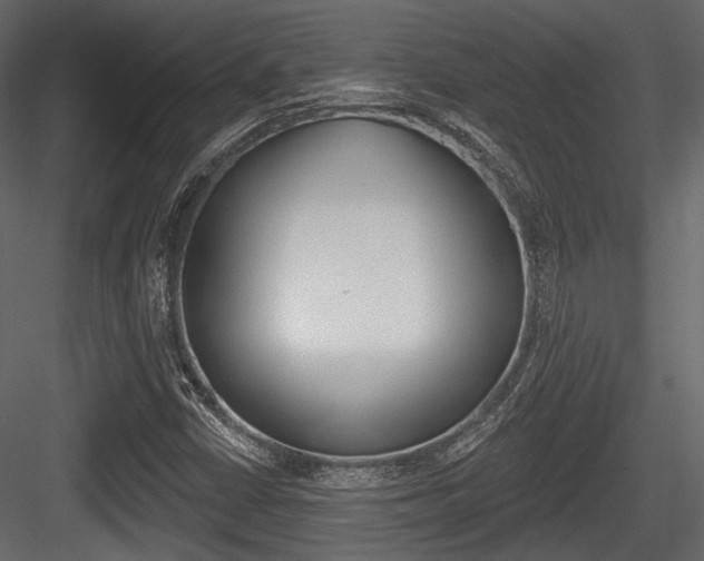 X0000084601402200702231024