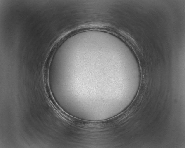 X0000084601404200702231024