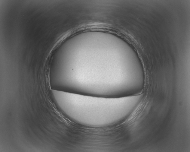 X0000084601405200702231024