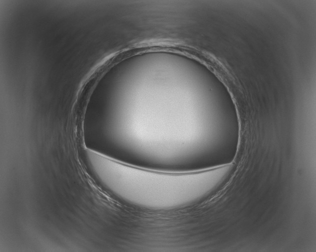X0000084601406200702231024