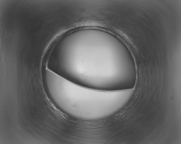 X0000084601408200702231024