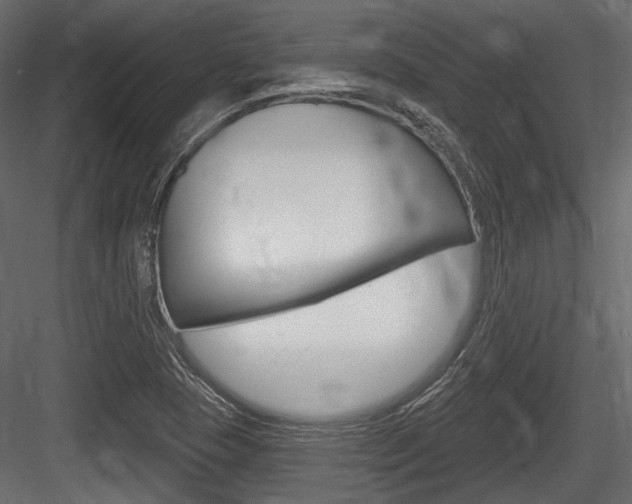 X0000084601409200702231024