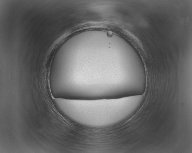 X0000084601411200702231024