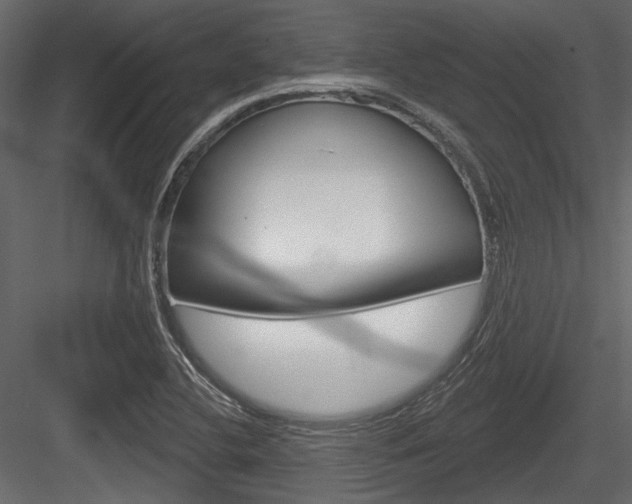 X0000084601412200702231024