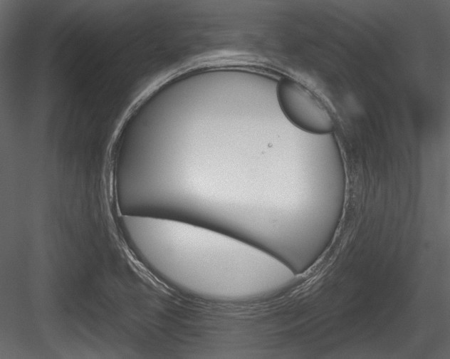 X0000084601413200702231024