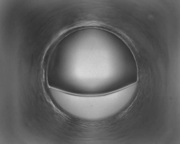 X0000084601414200702231024