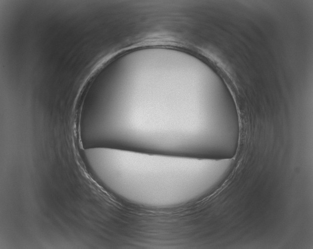 X0000084601415200702231024