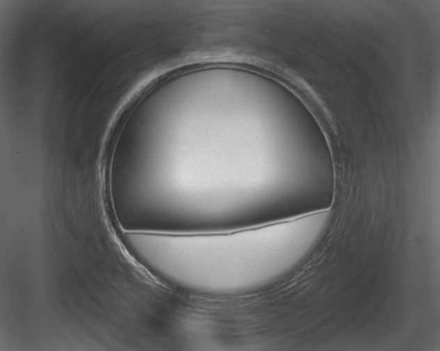 X0000084601416200702231024