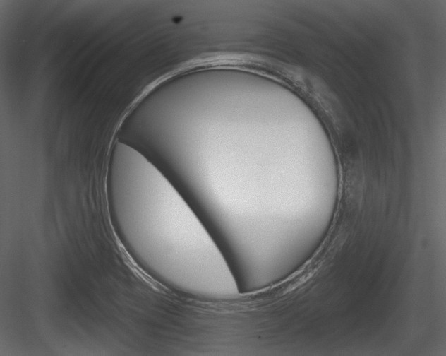 X0000084601417200702231024