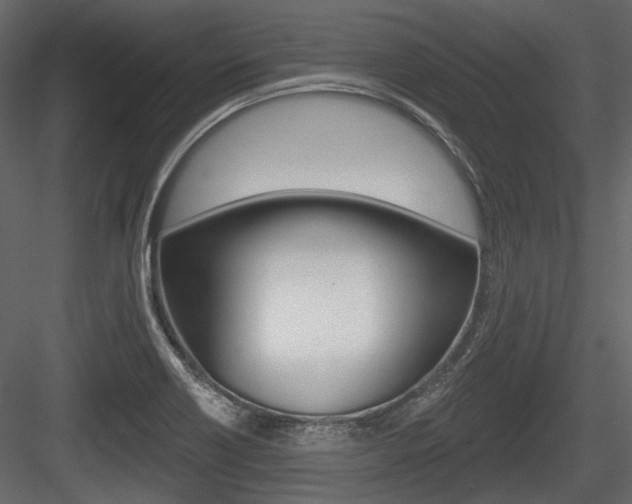 X0000084601418200702231024