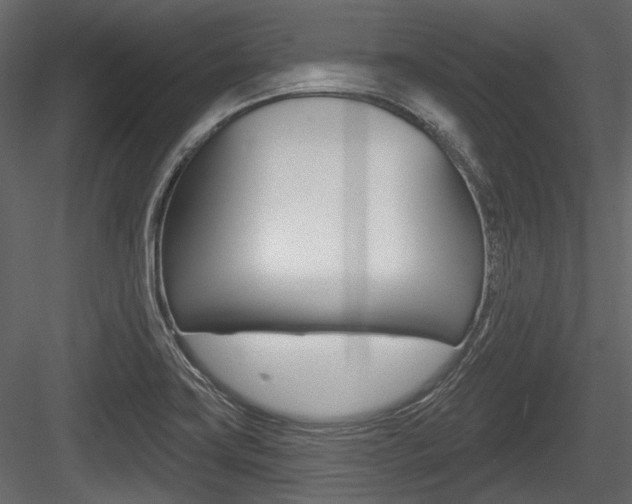 X0000084601419200702231024