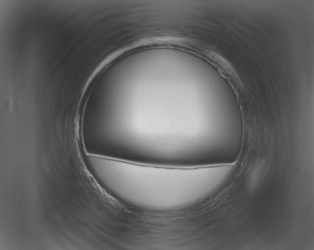 X0000084601420200702231024