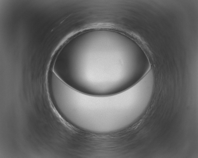 X0000084601422200702231024