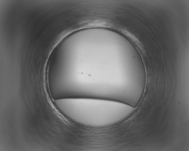 X0000084601423200702231024