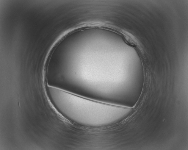 X0000084601424200702231024