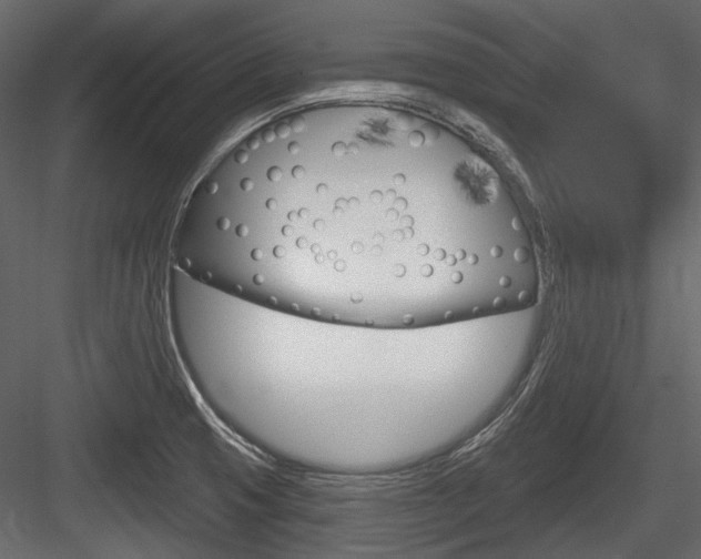 X0000084601425200702231024