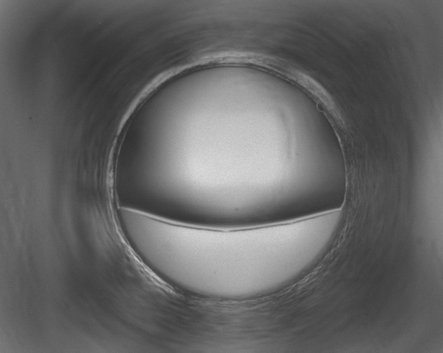 X0000084601428200702231024