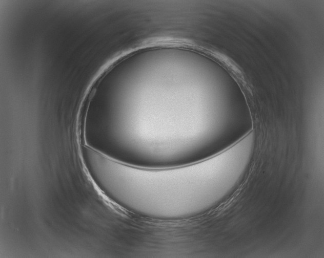 X0000084601430200702231024
