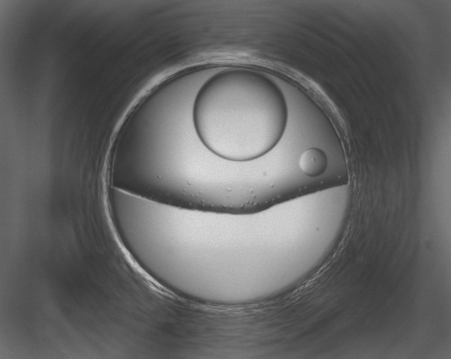 X0000084601432200702231024