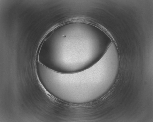 X0000084601434200702231024