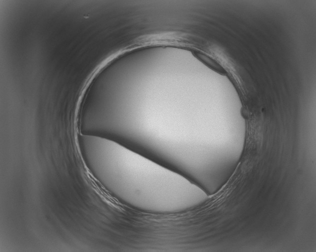 X0000084601435200702231024