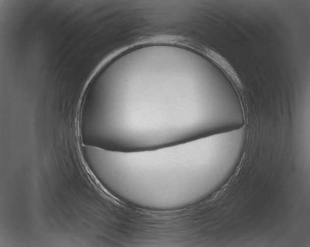 X0000084601436200702231024