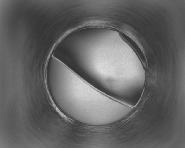 X0000084601437200702231024
