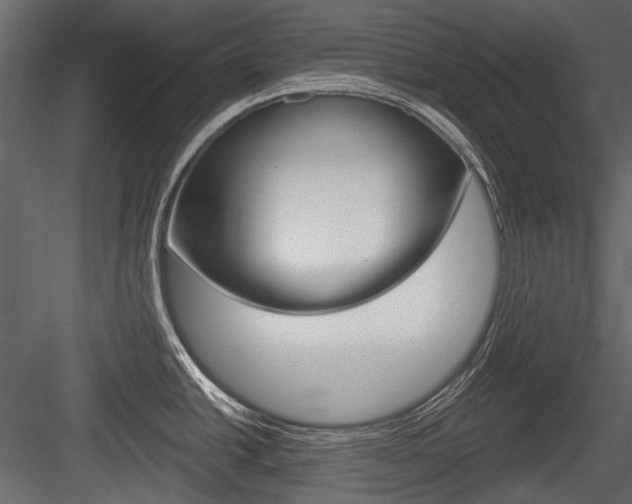 X0000084601438200702231024
