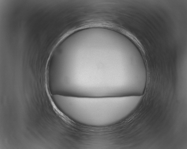 X0000084601439200702231024