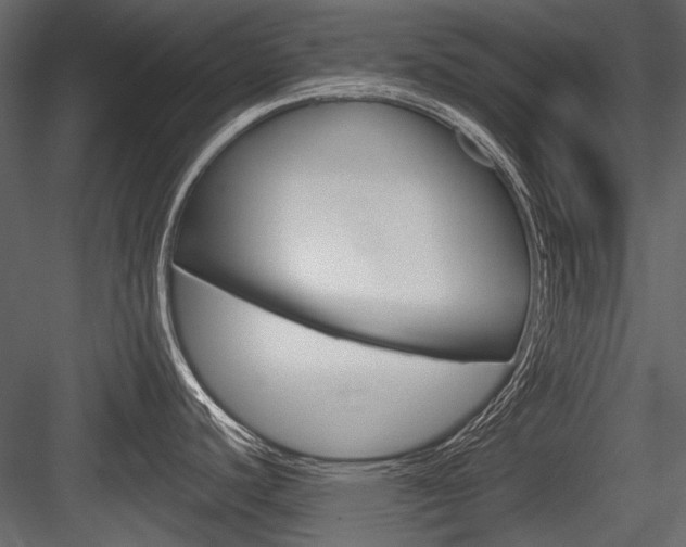 X0000084601440200702231024