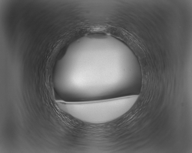 X0000084601441200702231023