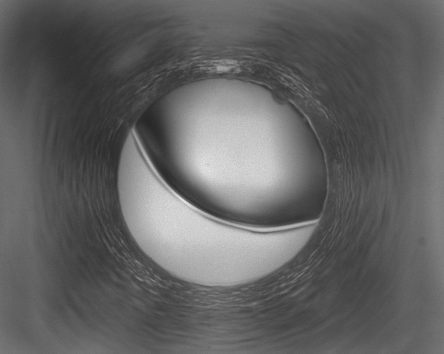 X0000084601442200702231023