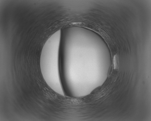 X0000084601443200702231023