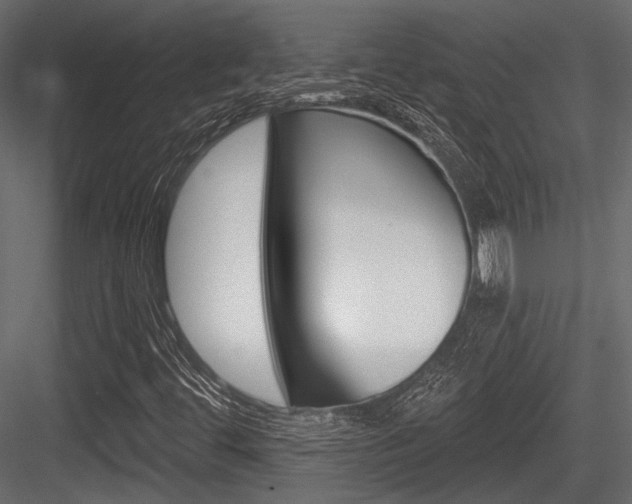 X0000084601444200702231023