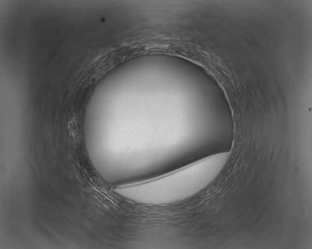 X0000084601445200702231023