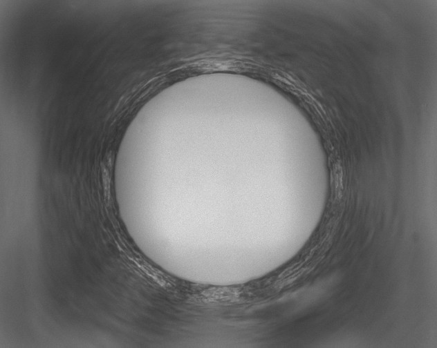 X0000084601446200702231023