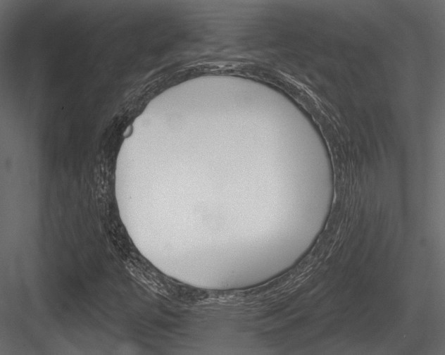 X0000084601447200702231023