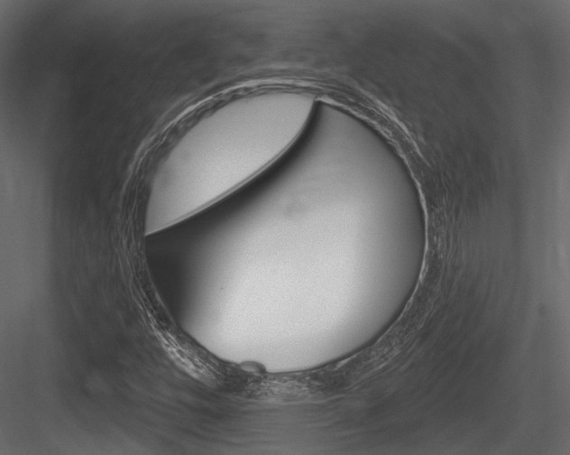 X0000084601448200702231023