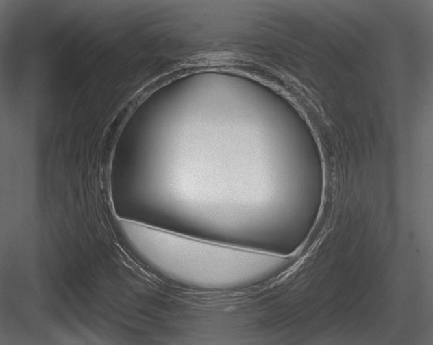X0000084601449200702231023